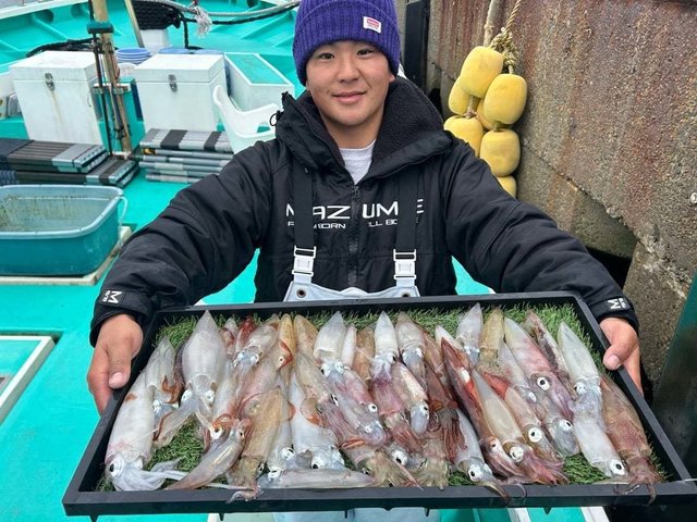 マルイカ(ケンサキイカ)・ムギイカ(スルメイカ)