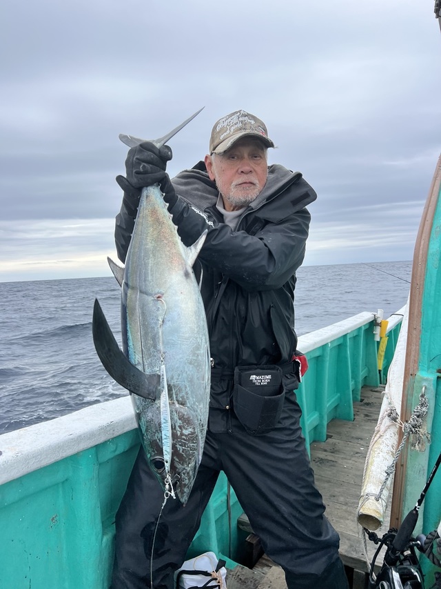 ビンチョウマグロ(ビンナガ)