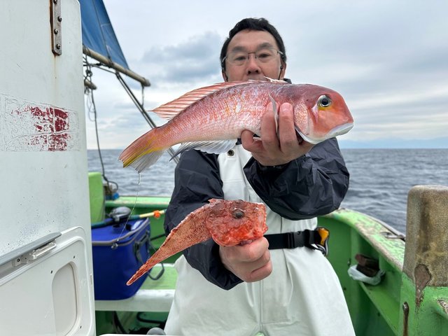 アマダイ(アカアマダイ)