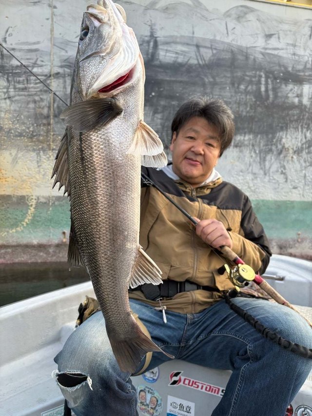 シーバス(スズキ)