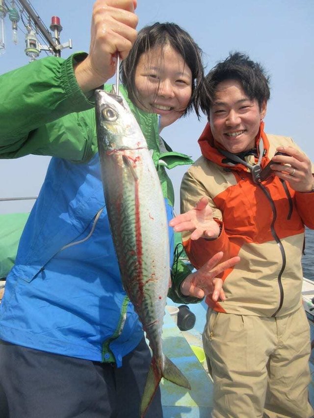 サバ(ゴマサバ)