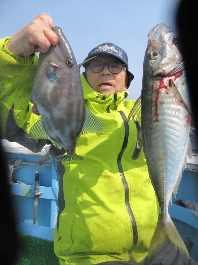 アジ(マアジ)・ウマヅラハギ