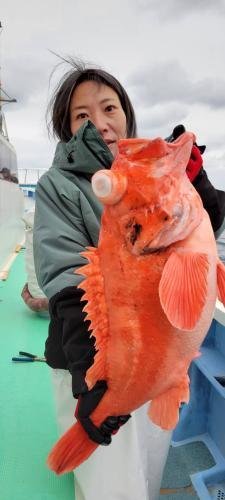 メヌケ(アコウダイ)