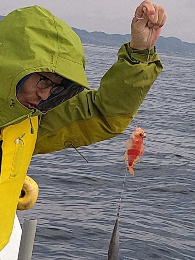 アズマハナダイ