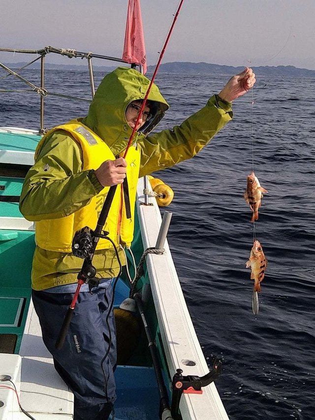 トゴットメバル