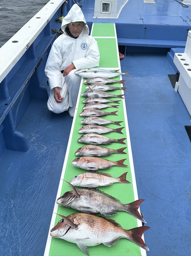 マダイ・イナダ(ブリ)