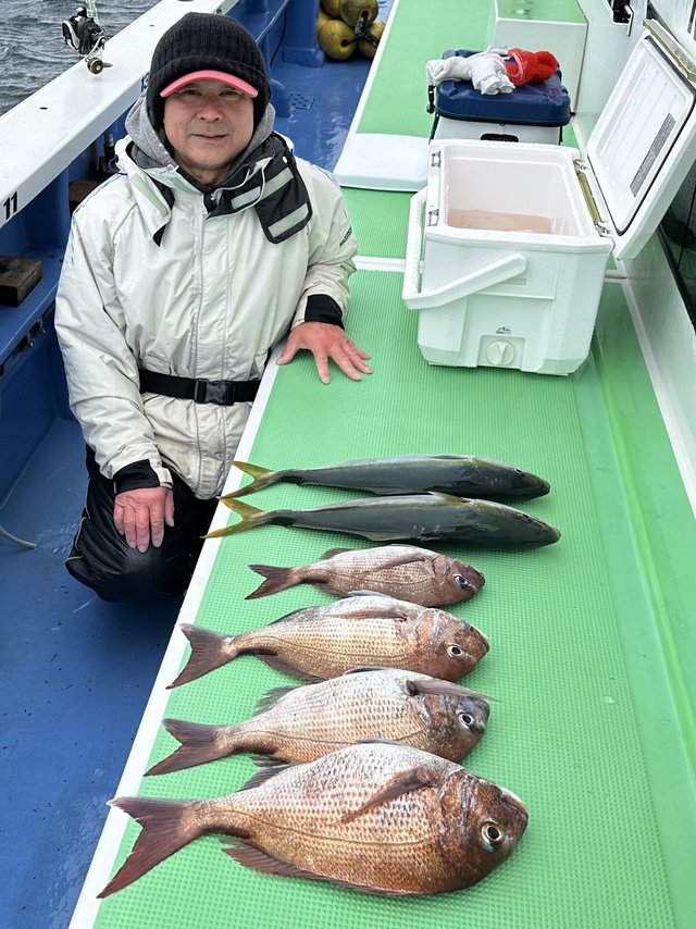 マダイ・イナダ(ブリ)