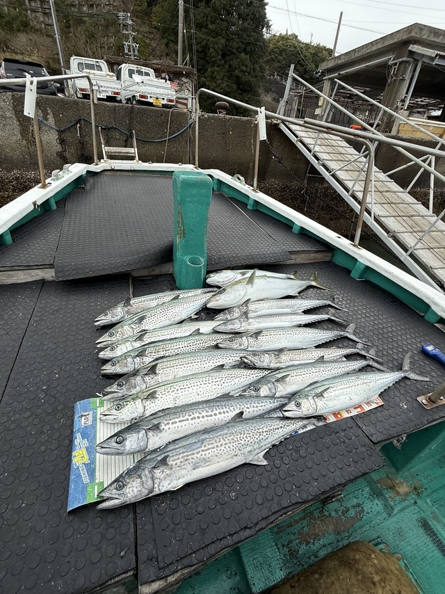 ブリ・ハマチ(ブリ)・サワラ