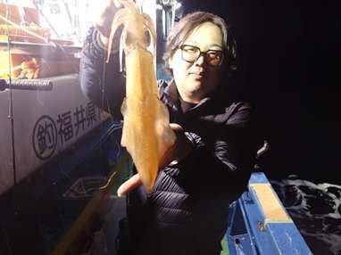 マイカ(ケンサキイカ)