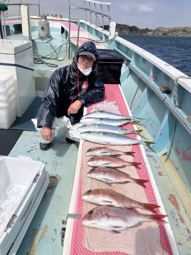 マダイ・イナダ(ブリ)