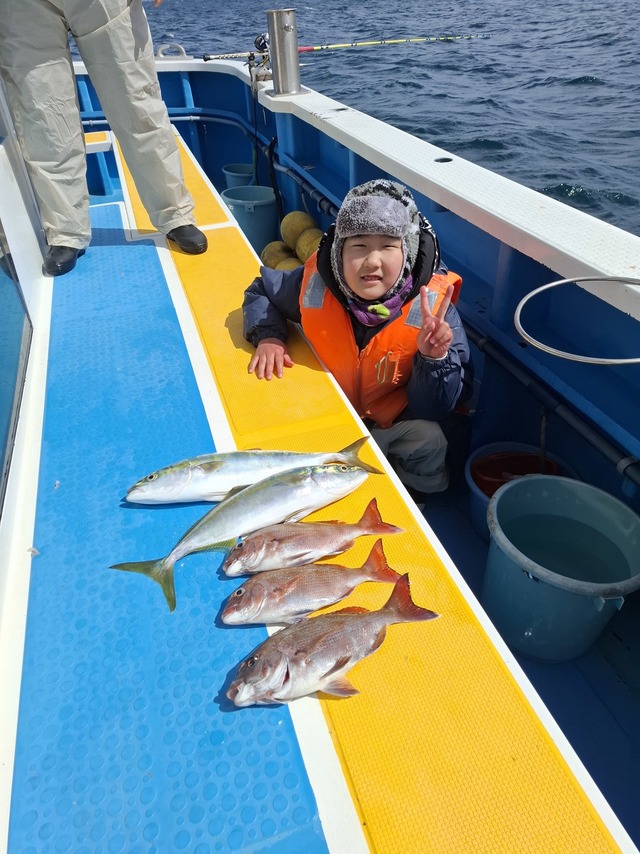 マダイ・イナダ(ブリ)