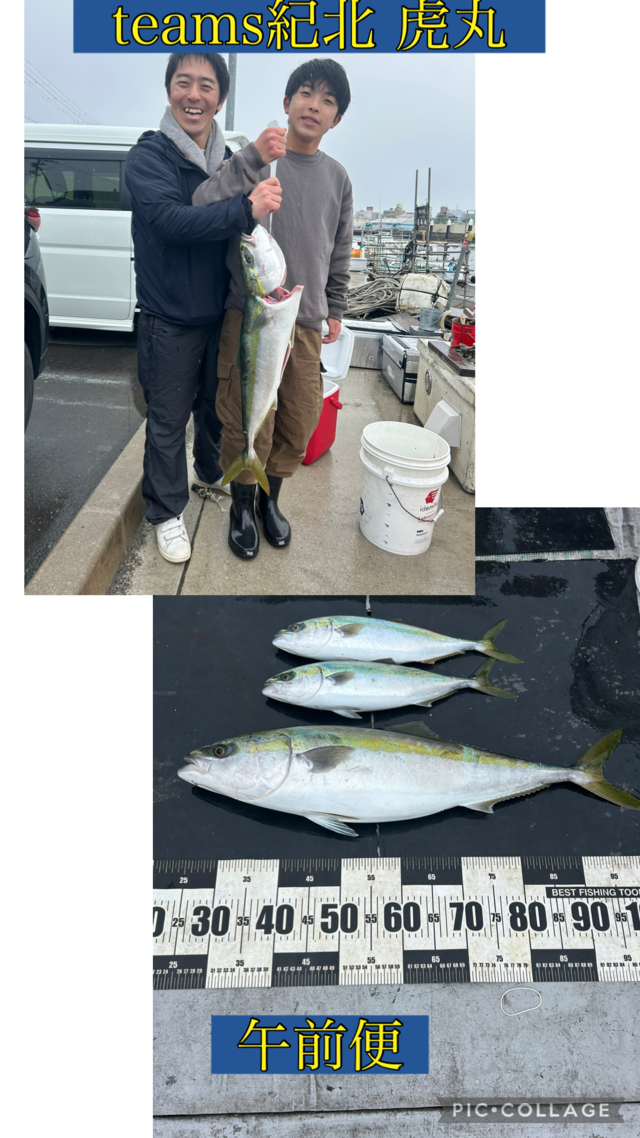 ブリ・ハマチ(ブリ)