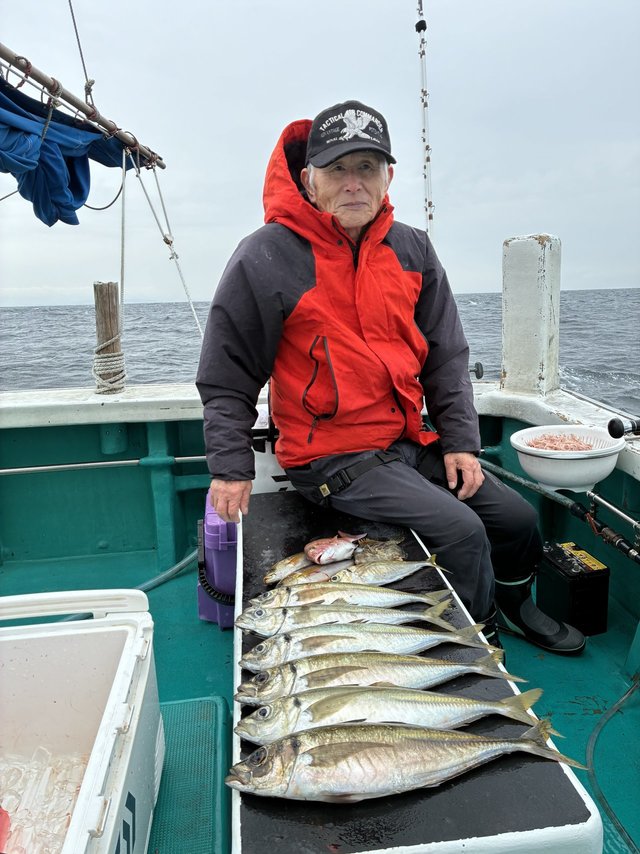 マダイ・マアジ