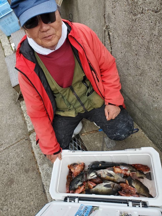 ガシラ(カサゴ)・メバル