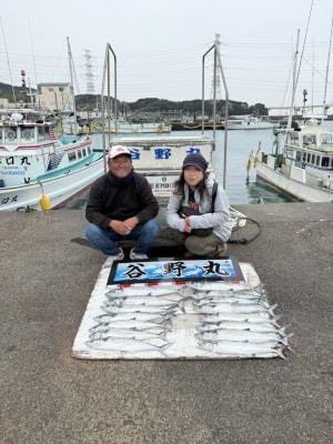 サゴシ(サワラ)