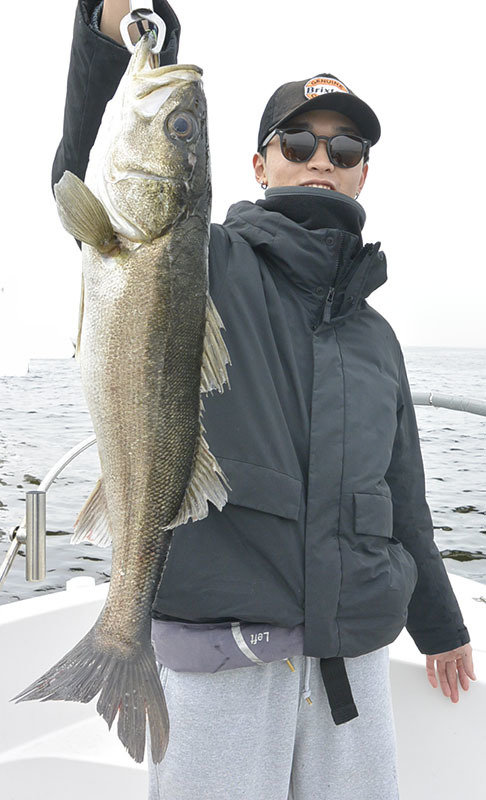 シーバス(スズキ)