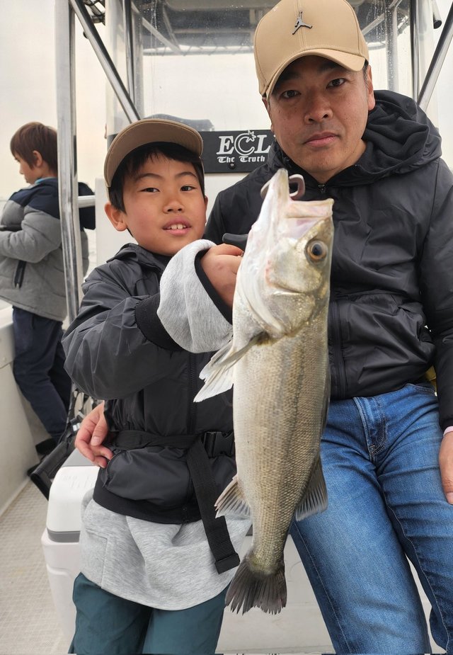 シーバス(スズキ)