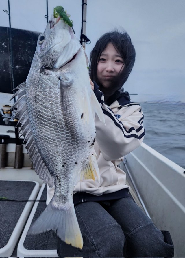 チヌ(クロダイ)