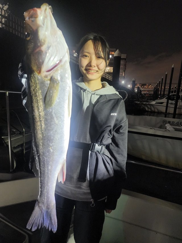 シーバス(スズキ)