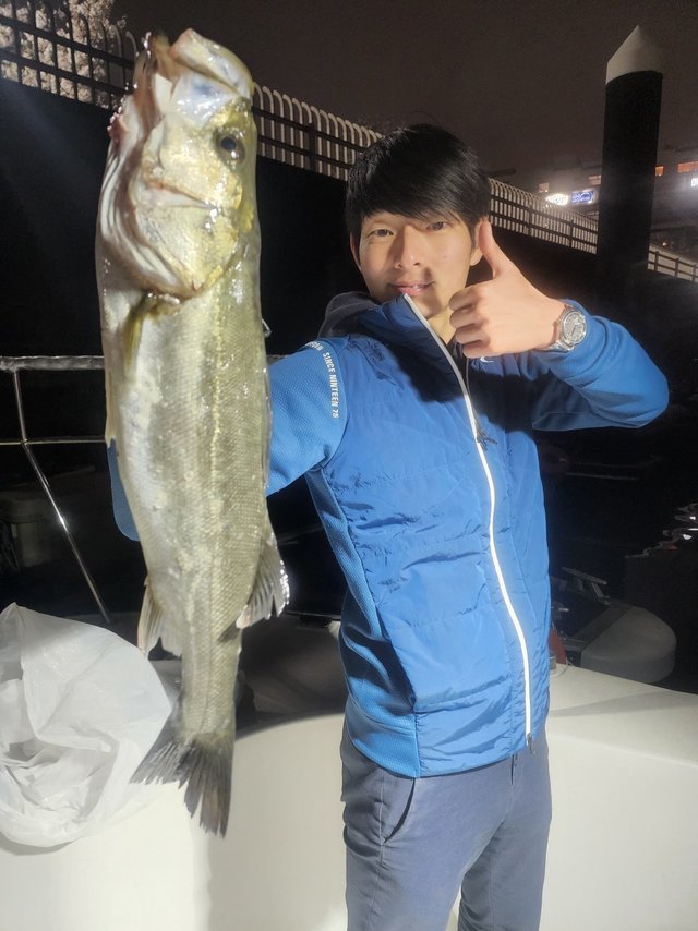 シーバス(スズキ)