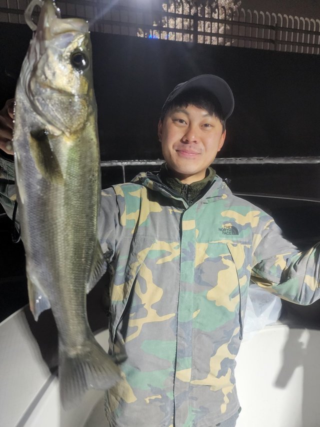 シーバス(スズキ)