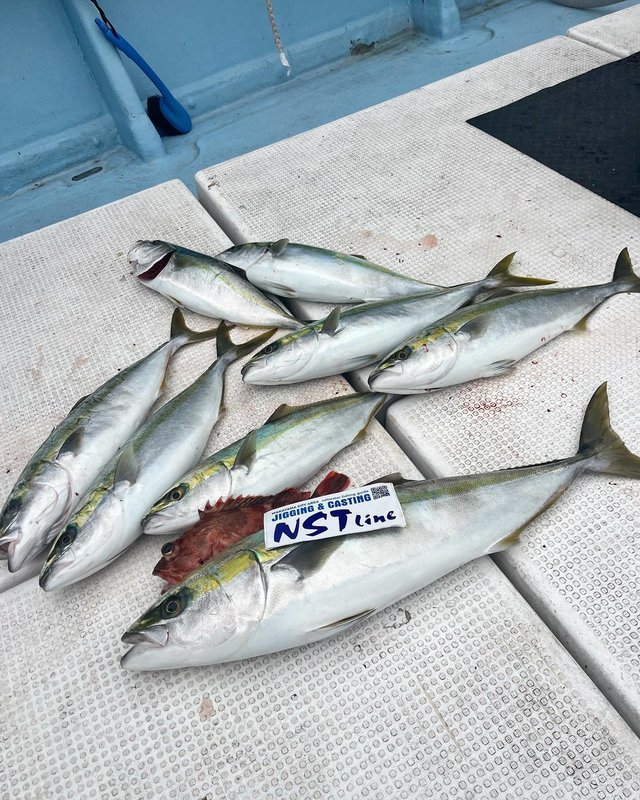 ブリ・ハマチ(ブリ)・カサゴ