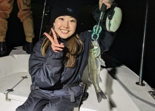 シーバス(スズキ)