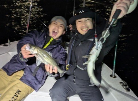 シーバス(スズキ)