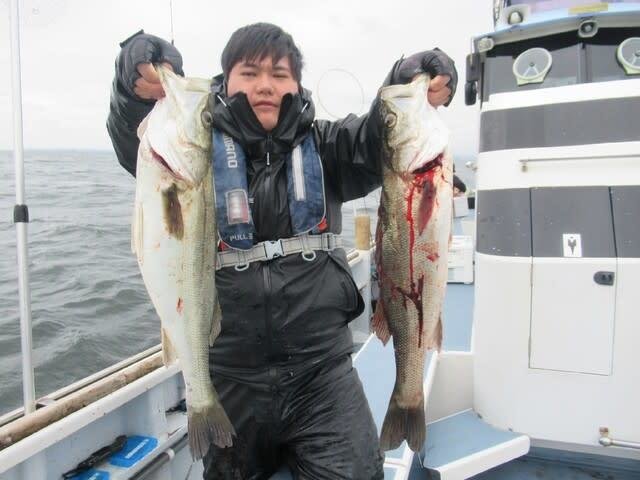 シーバス(スズキ)