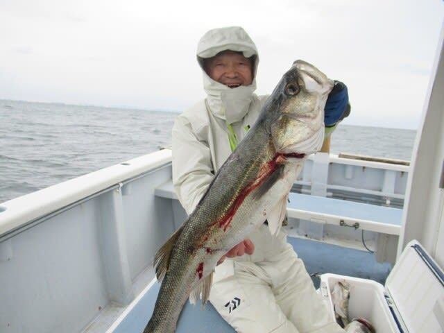 シーバス(スズキ)