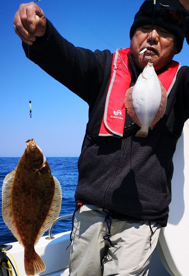 カレイ(マコガレイ)