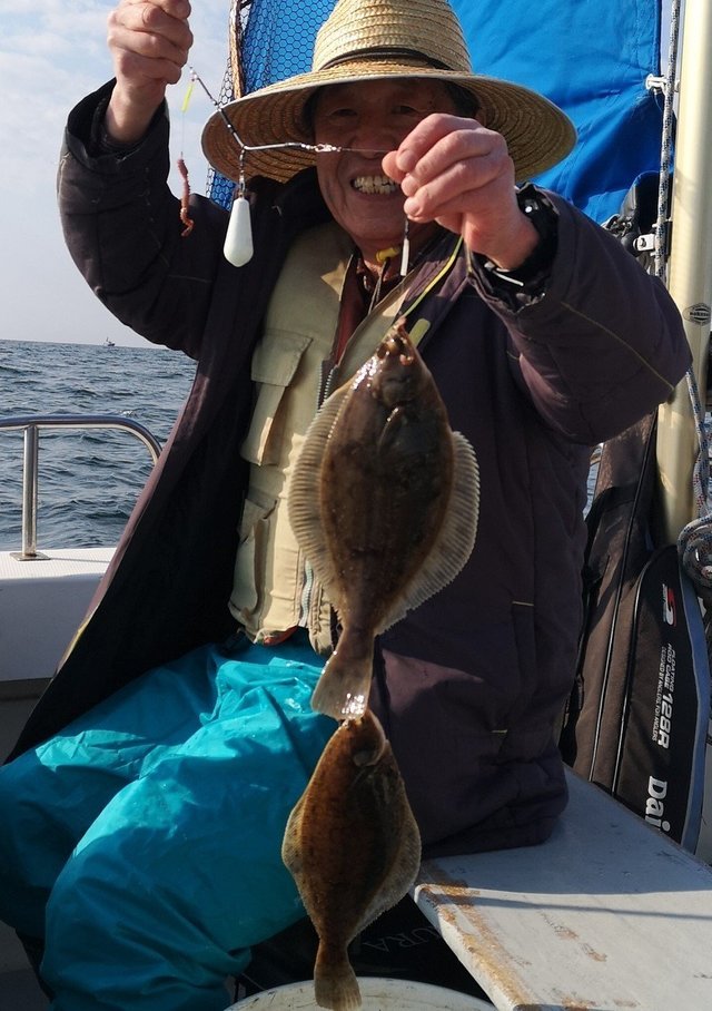 カレイ(マコガレイ)