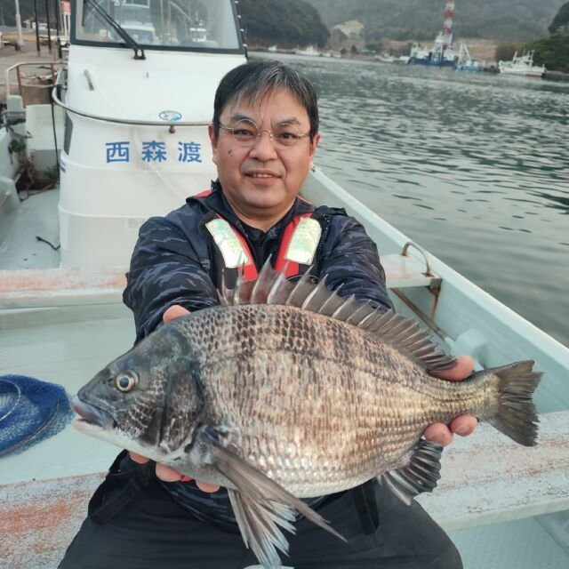 チヌ(クロダイ)