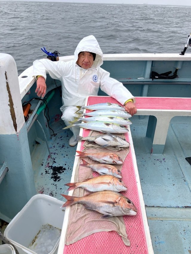 マダイ・クロダイ・イナダ(ブリ)