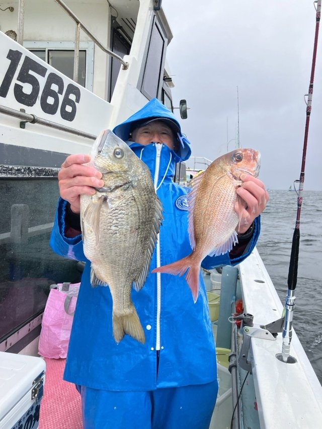 マダイ・クロダイ