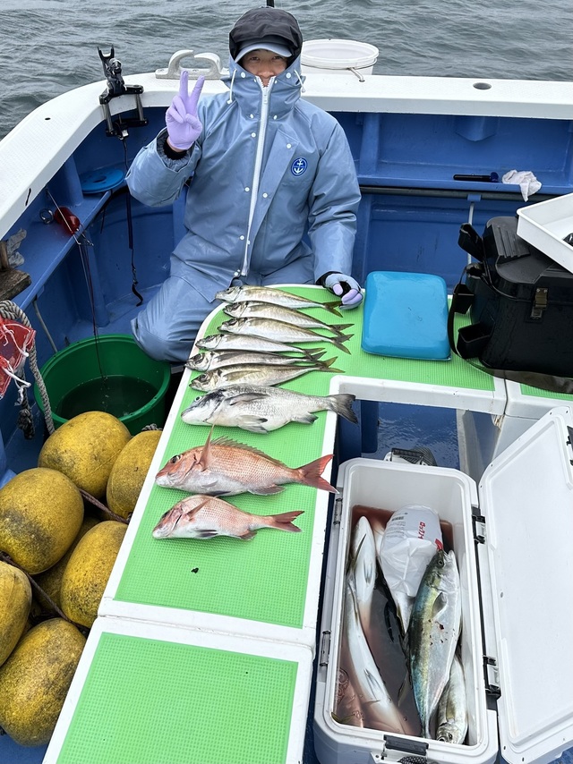 マダイ・クロダイ・マアジ