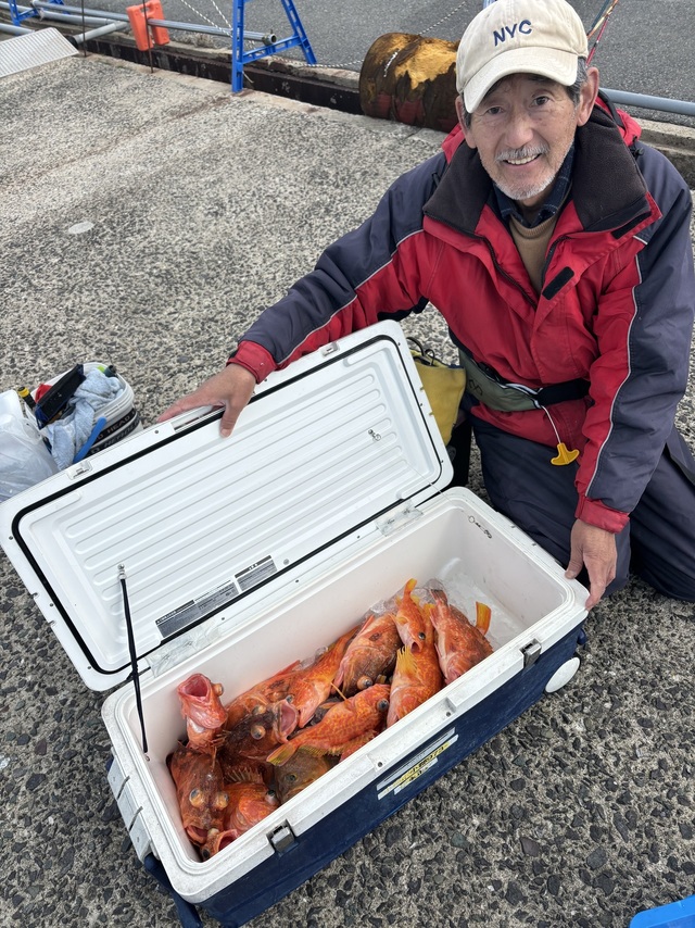 ボッコ(カサゴ)