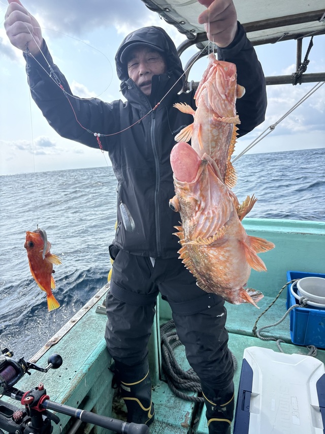 ボッコ(カサゴ)