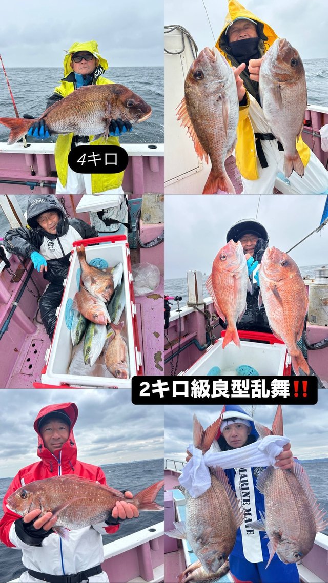 マダイ・イナダ(ブリ)