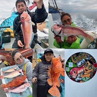 アマダイ(アカアマダイ)・オニカサゴ