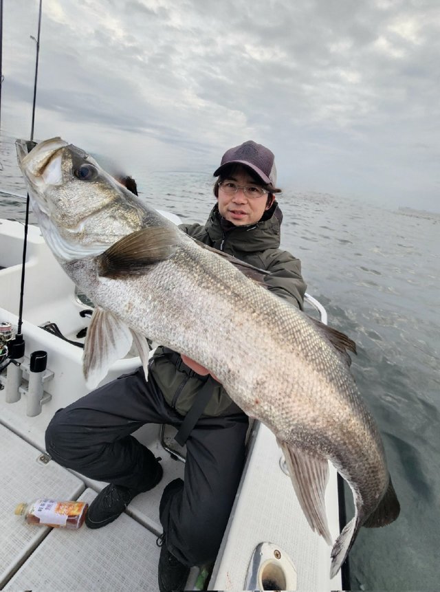 シーバス(スズキ)