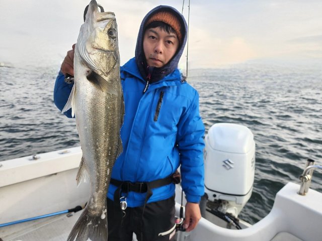 シーバス(スズキ)