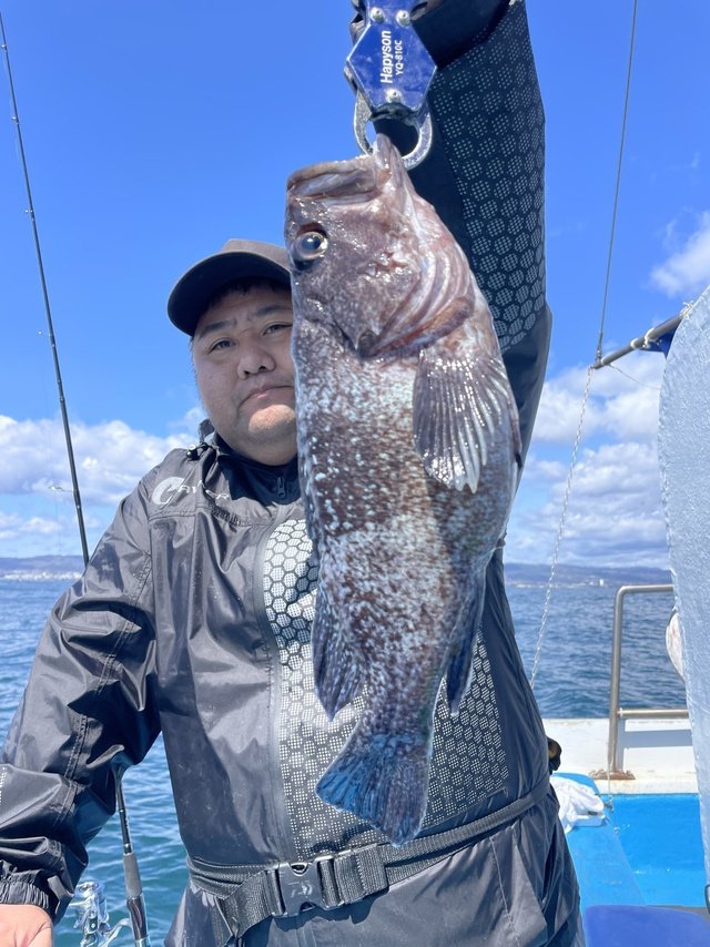 マゾイ(キツネメバル)