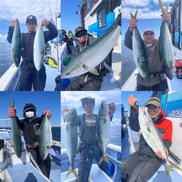 ワラサ(ブリ)・ヒラマサ