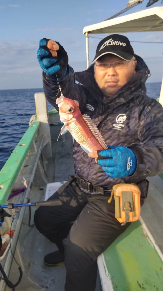 アマダイ(アカアマダイ)