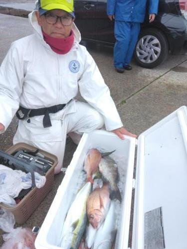 マダイ・イナダ(ブリ)