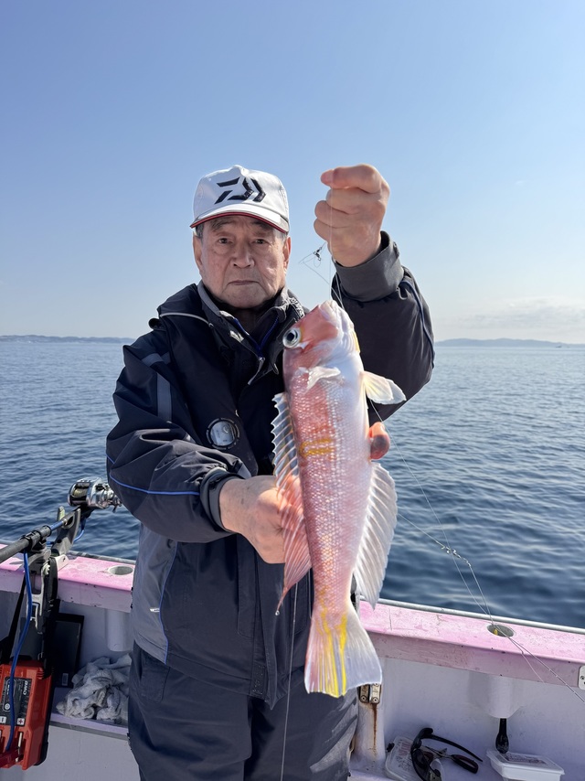 アマダイ(アカアマダイ)