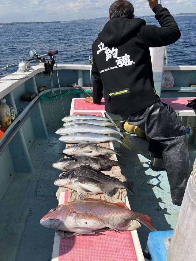 マダイ・クロダイ・イナダ(ブリ)