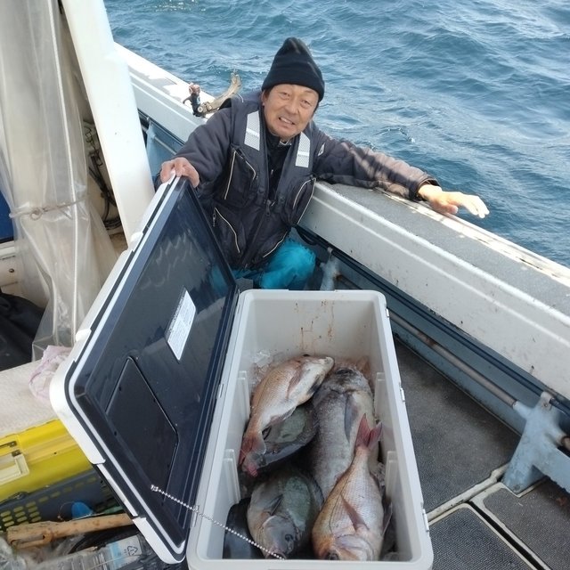 マダイ・メダイ