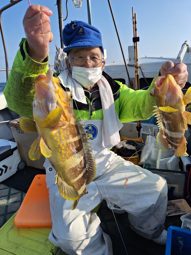 アオナ(アオハタ)